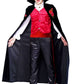 Vampire Costume