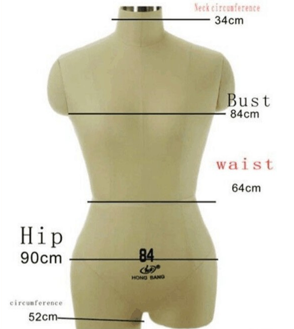 measures of a manequinn torso