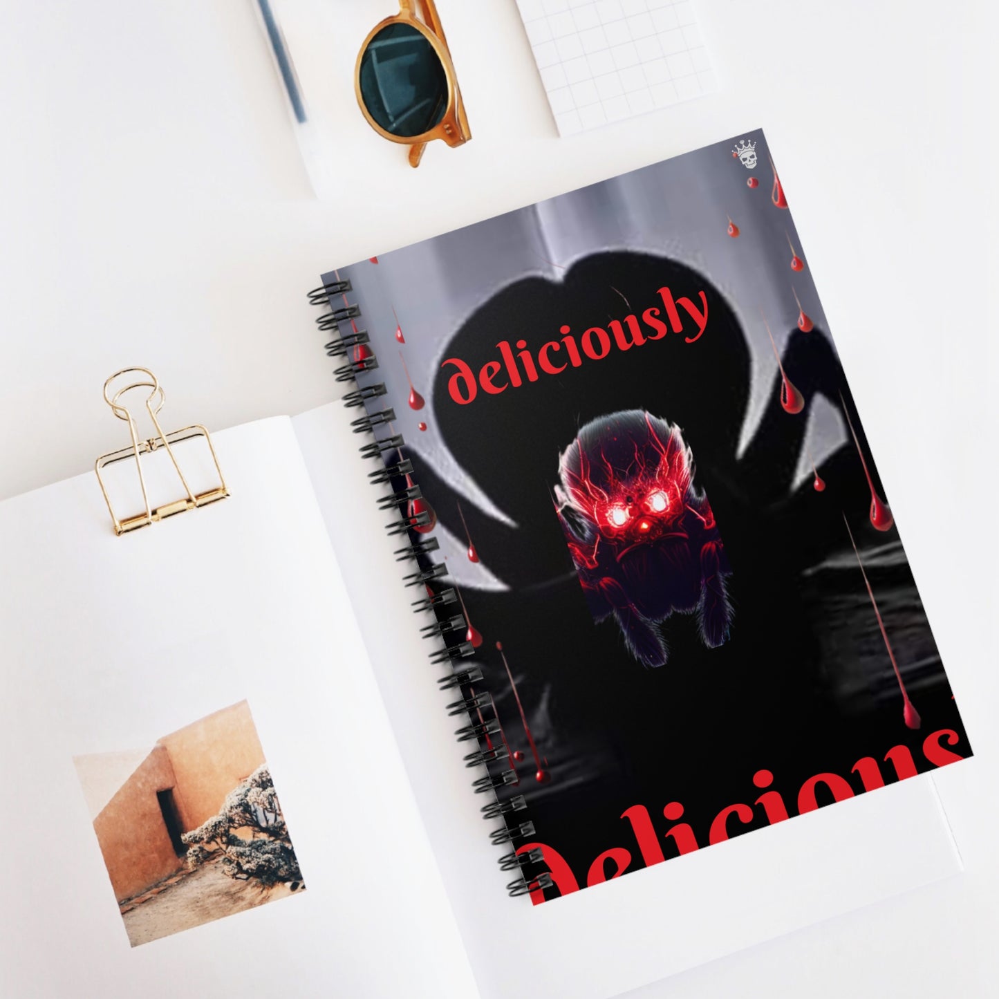 DeliSpidy Notebook