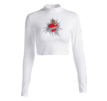 Long Sleeve Roarer Crop Top