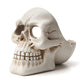 Skull Ashtray